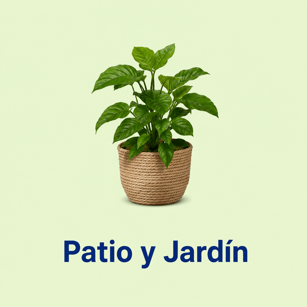 Productos de Navidad en Almacenes Mirna